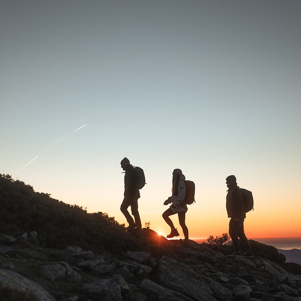 Annox Summit Hoodie  Sherpa Veste Polaire