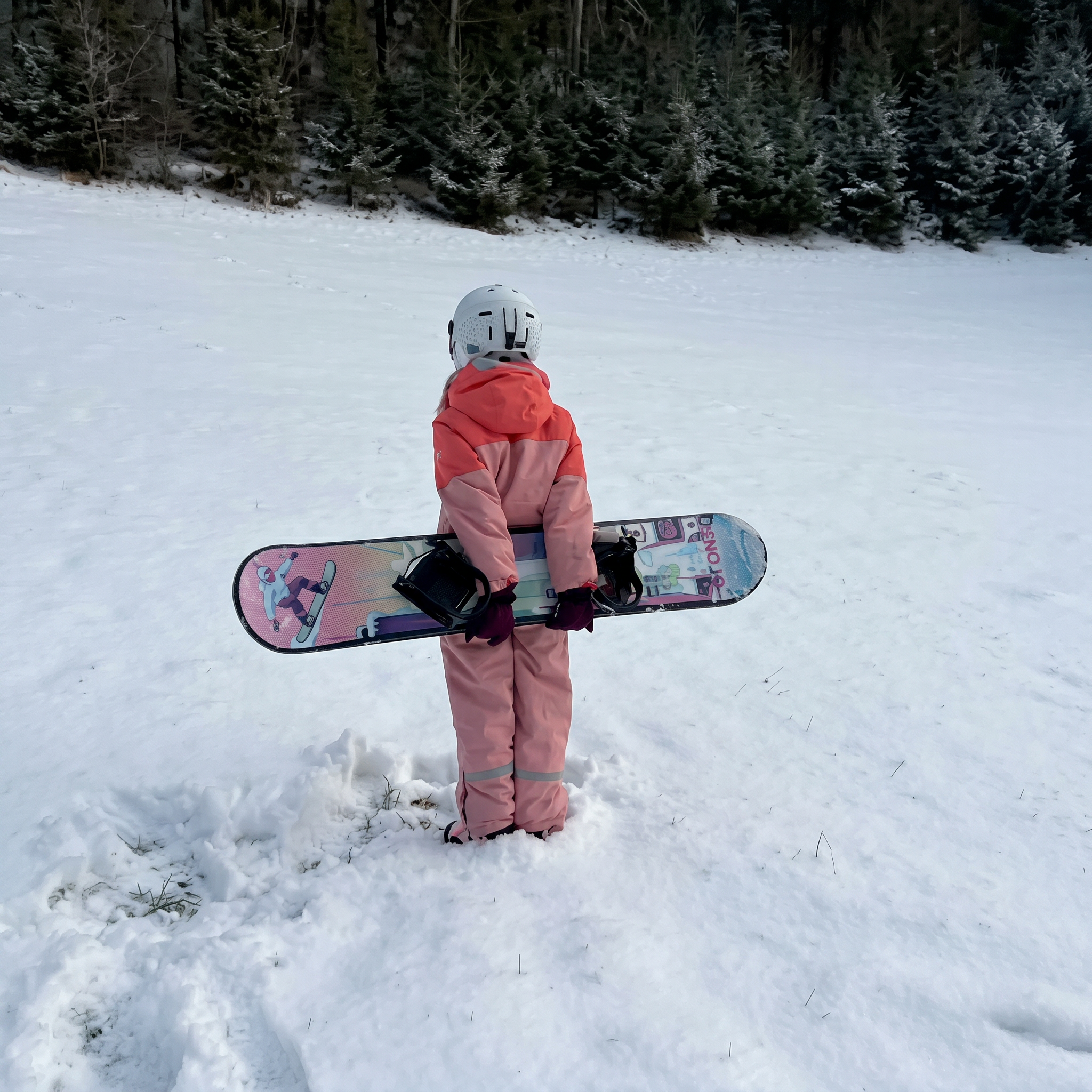 Story Snowboard