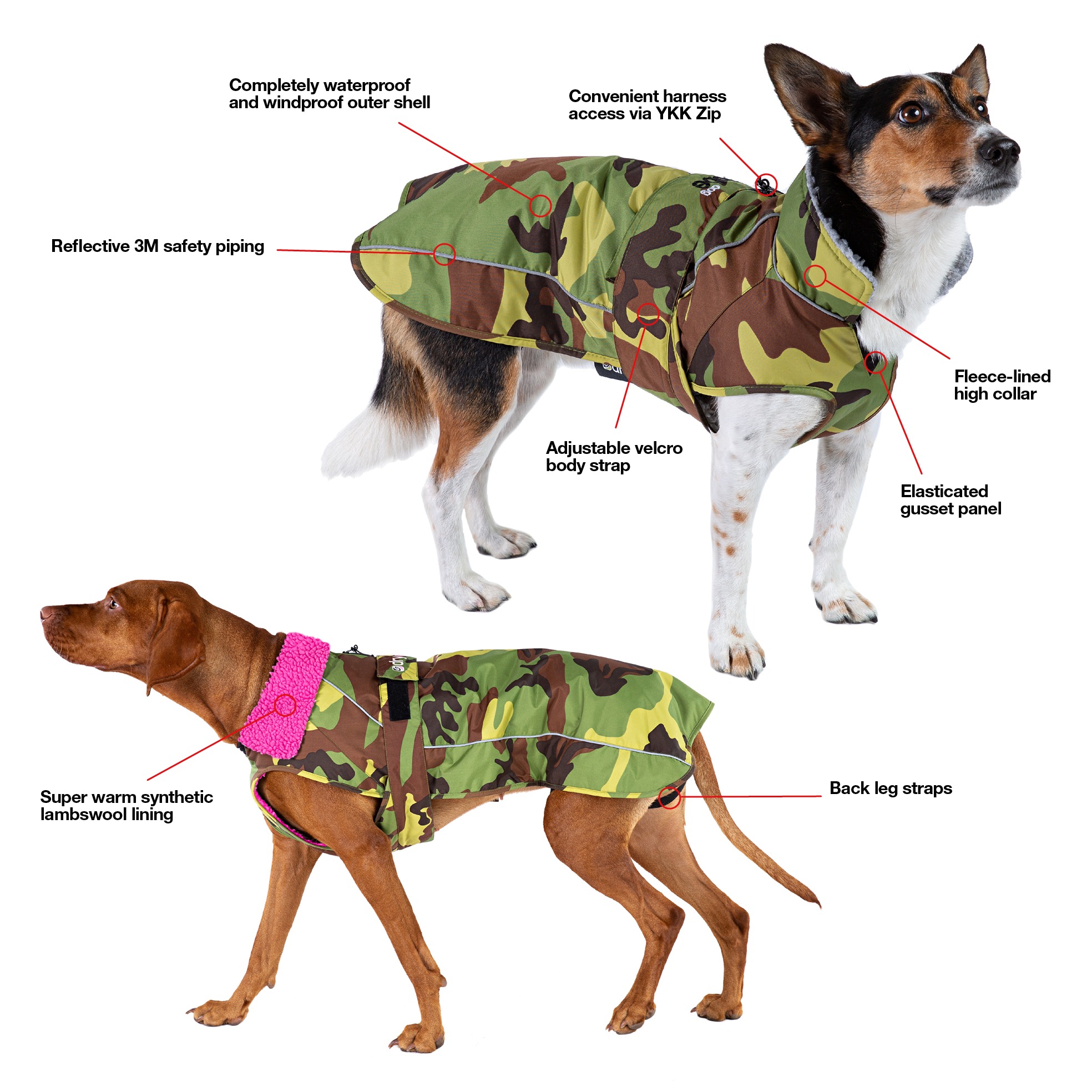 Dryrobe® Manteau pour Chien
